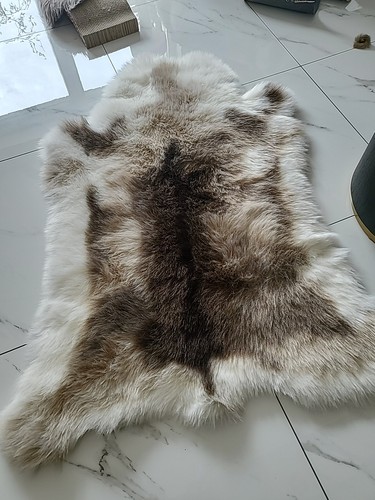 Reindeer fur brown beige - reindeer,