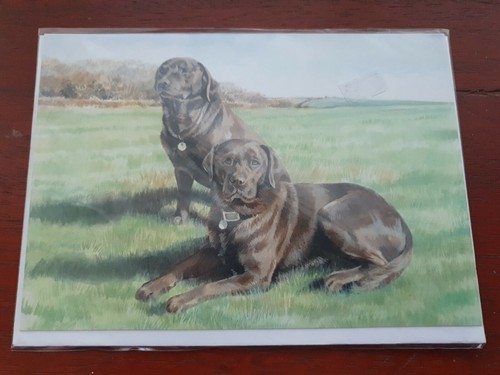 Chocolate labradors greetings - labradors,