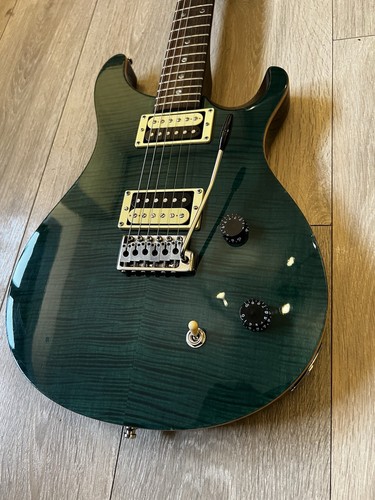 Prs custom electric - custom,