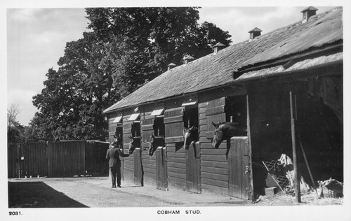 Cobham surrey stud farm - farm, horse