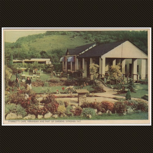 Sterretts cafe symonds yat - cafe,