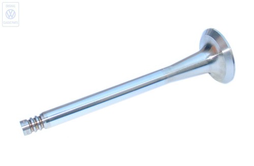 Vag intake valve for - vag,