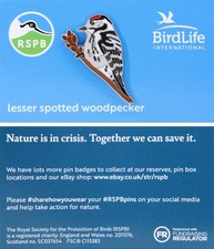 RSPB Pin Badge Bird Life International NIIC Lesser Spotted Woodpecker P03216