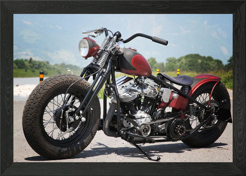 Bobber cool framed wall art - bobber,