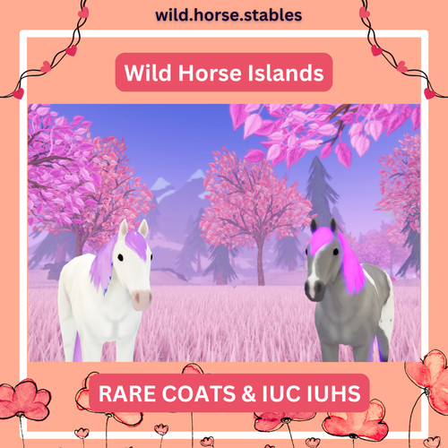 Wild horse islands rare coat - horse,