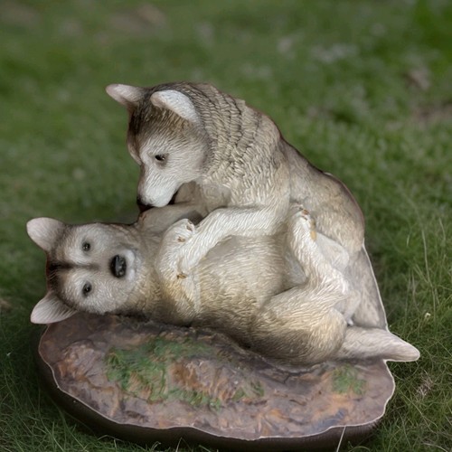 Playing wolf pups puppies - wolf,