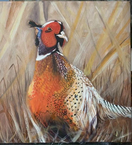 Pheasant bird hunting box - bird,