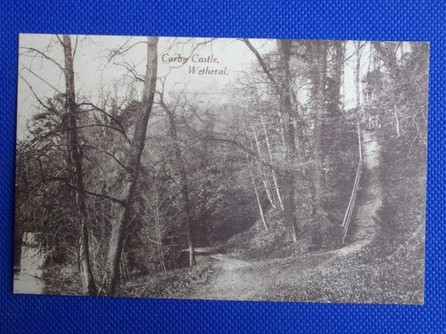 Postcard the woods corby - woods,,