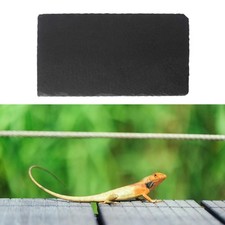Reptile Basking Platform Rock