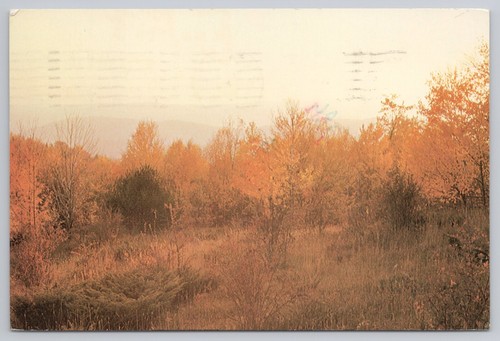 Postcard east thetford vermont - east,