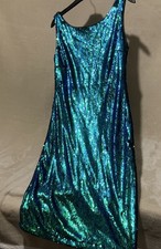 Size 10 dress  gorgeous