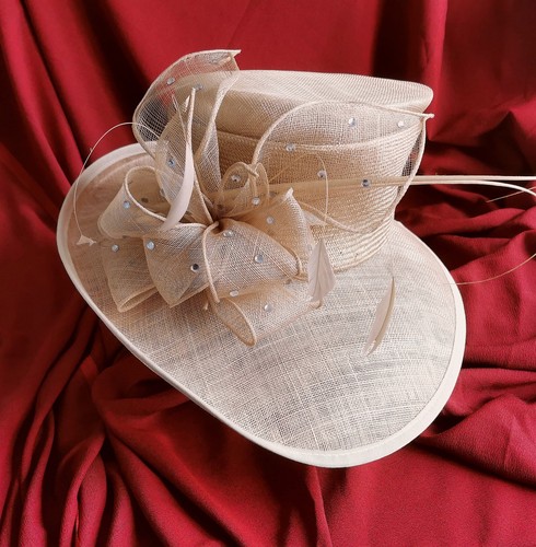 Beautiful ladies hat for - hat,