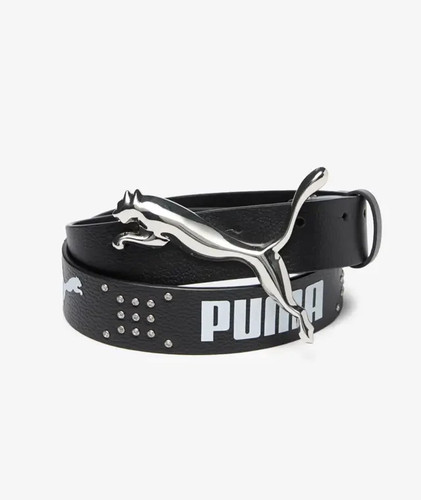 Rocky puma cat belt - rocky,