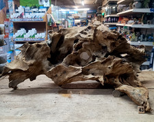 Derwen oak bogwood - oak,