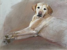 NEIL FORSTER (1939-2016) Signed Pastel Drawing - Golden Labrador Dog - Framed