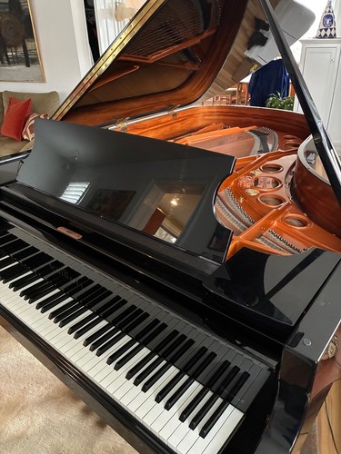 Schimmel cc208 - schimmel, (6′10″)