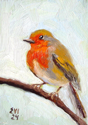 Robin original oil painting - oil,