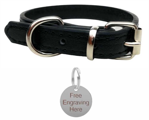 Vibrant leather dog - vibrant,