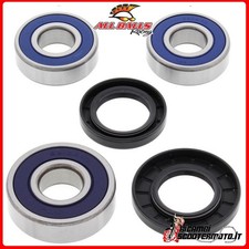 ALL BALLS REAR WHEEL BEARING