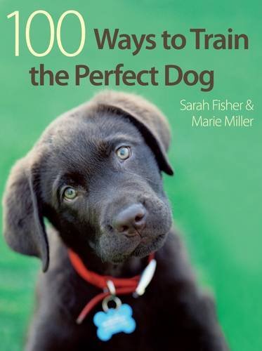100 ways train perfect - a,