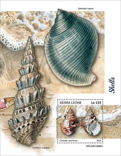 Shells mnh stamps 2024 sierra - shells,
