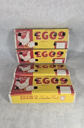 Vintage cardboard egg - egg, carton