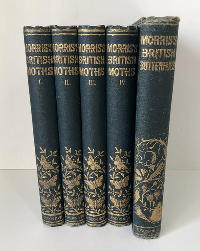 British moths volumes and - 4,
