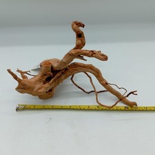 Azalea Root Natural Aquarium