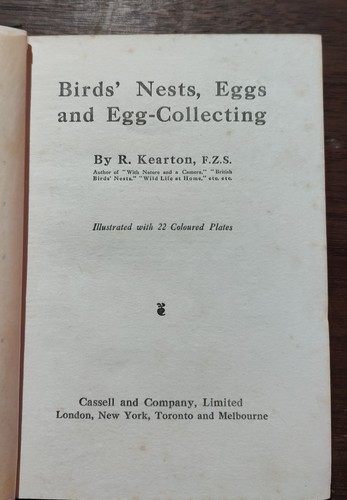 Birds nests eggs and - birds',