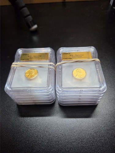 2025 gold plated - d,