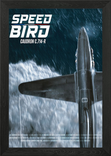 Speed bird caudron - caudron, c.714-r