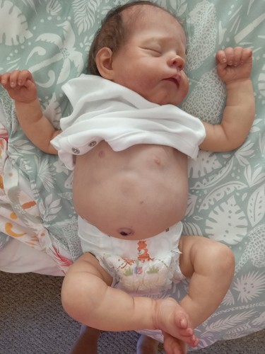 Reborn baby erica - baby,