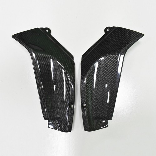 Woo carbon fiber panel fairing - woo,