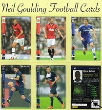 Panini football league - panini, (japan)