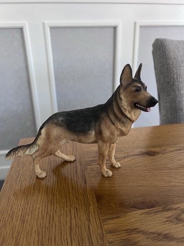 German shepherd dog - dog, leonardo