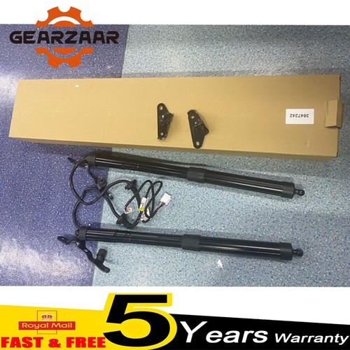 Pair tailgate strut electric - strut,