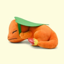 Large Sleeping Charmander