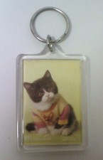 Rachael Hale Cute Sweet Kitty