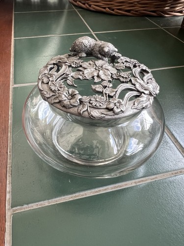 Rawcliffe kitten cat - cat, potpourri