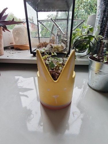 Easter rabbit ceramic planter