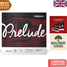 Warm Sounding 4/4 Scale Cello