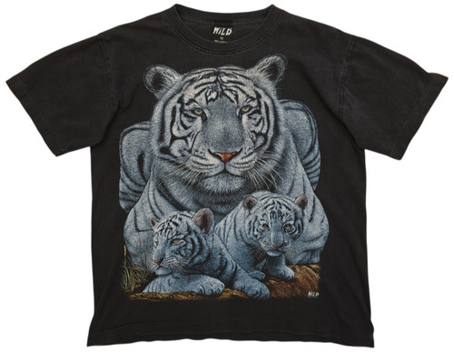 Wild white tiger cubs - tiger, &