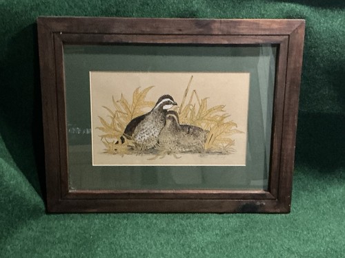 Bobwhite quail signed numbered - quail, signed/numbered