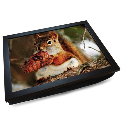 Deluxe cushioned lap tray - deluxe,