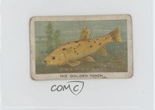 1925 Wills Birds Beasts and