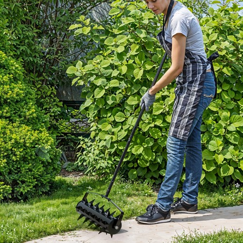 Lawn aerator garden roller - lawn,