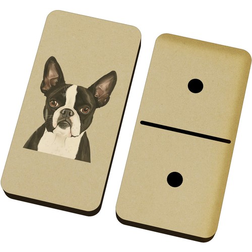 Boston terrier portrait - terrier, portrait'
