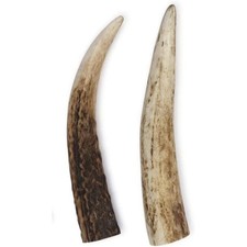 2 X Small Antlers