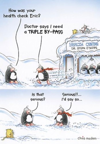 Funny eric the - funny,