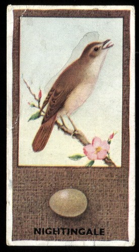 Tobacco card godfrey phillips - tobacco,